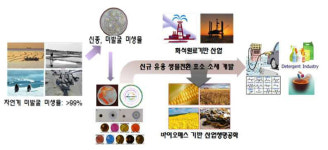국내 미기록 세균 101종 발견…효소산업 활용 기대