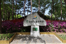 강원도립화목원 토요 마켓포레 운영