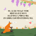 [카드뉴스]여우와 신 포도이야기, 들어본 적 있으시죠?