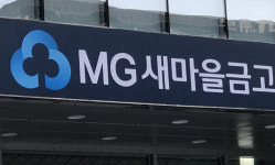 새마을금고 5년간 횡령·배임 사고액 640억…220억만 회수