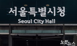 48년 된 도림고가도 철거되나…서울시 구조개선 용역  뱔주