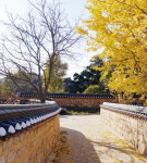 단풍 명상 터널과 금강의 낙조가 어우러지는  익산 함라산 둘레길[전라북도 천리길]