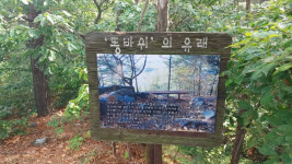 단풍 명상 터널과 금강의 낙조가 어우러지는  익산 함라산 둘레길[전라북도 천리길]