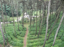 단풍 명상 터널과 금강의 낙조가 어우러지는  익산 함라산 둘레길[전라북도 천리길]