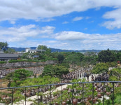 단풍 명상 터널과 금강의 낙조가 어우러지는  익산 함라산 둘레길[전라북도 천리길]