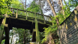 단풍 명상 터널과 금강의 낙조가 어우러지는  익산 함라산 둘레길[전라북도 천리길]