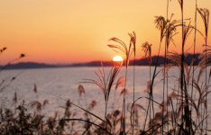 단풍 명상 터널과 금강의 낙조가 어우러지는  익산 함라산 둘레길[전라북도 천리길]