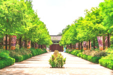 전주시, 전주동물원 주변 불법주정차 단속 강화