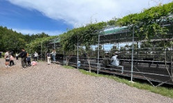 제주 유명 관광목장 알고 보니…오름 일대 산림 무단 훼손