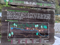 천고마비의 계절, 감이 익어가는 풍경이 있는 완주 고종시 마실길[전라북도 천리길]