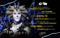 뮤지컬 캣츠 내한공연 배우들 관객과의 눈맞춤 기대