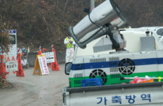 용인·화성 닭농장서 잇단 AI, 6만 5천 마리 살처분