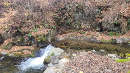 무릉도원 같은 오지여행을 꿈꾼다면 장수 장안산 마실길[전라북도 천리길]