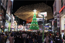 부산 크리스마스트리축제 빛 축제로 이름 변경…중구가 직접 주관
