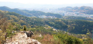 백제부터 현재까지 천년 고도 전주를 느끼는 천년 전주 마실길[전라북도 천리길]