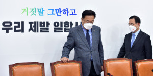 민주당, 