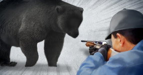 사육 농장 탈출한 곰 3마리 사살…농장 주인 부부 사망(종합)