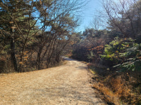 숲길 산책 한바퀴로 남원의 역사를 마주하다 남원 교룡산 둘레길[전라북도 천리길]