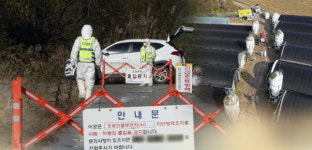 정읍 오리농장서 고병원성 조류독감 확진