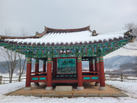 옥정호의 붕어섬과 소나무 숲이 어우러지는 임실 옥정호 마실길[전라북도 천리길]