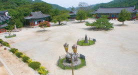 상록수 원시림과 다양한 종교유산이 어우러진 김제 금산사길[전라북도 천리길]