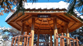 상록수 원시림과 다양한 종교유산이 어우러진 김제 금산사길[전라북도 천리길]