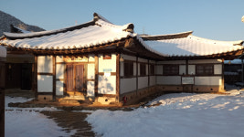 상록수 원시림과 다양한 종교유산이 어우러진 김제 금산사길[전라북도 천리길]