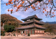 상록수 원시림과 다양한 종교유산이 어우러진 김제 금산사길[전라북도 천리길]