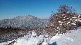 상록수 원시림과 다양한 종교유산이 어우러진 김제 금산사길[전라북도 천리길]