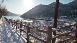 상록수 원시림과 다양한 종교유산이 어우러진 김제 금산사길[전라북도 천리길]