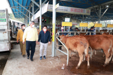 예천군, 미래 축산에 100억 투입