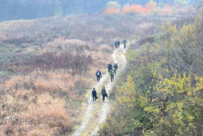 꽃 피는 봄, 사과꽃 향기에 취할 수 있는 무주 예향천리 금강변마실길 2코스[전라북도 천리길]