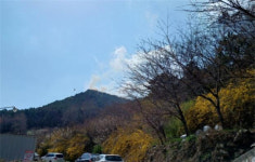부산진구 팔금산 정상에 산불…주민 대피 재난문자