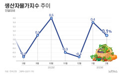 2월 생산자 물가 0.1%↑…두 달째 상승[그래픽뉴스]