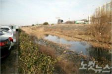 부산 삼락생태공원 3만 ㎡가량 물에 잠겨…원인 조사 중