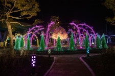 괴산 괴강불빛공원 준공…야간 체류형 관광단지 발돋움