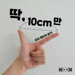 지금 콘서트장이세요? 우리 딱 10cm만 떨어져 보자[NOON]