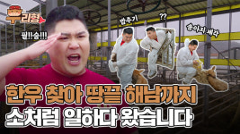무적해병 박경호, 한우농장 체험기 우(牛)리형 유튜브 영상 공개