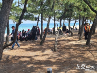 때아닌 폭염 강릉 35.5도까지 올라…역대 5월 최고기온 경신
