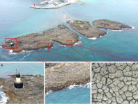 포항 오도리 주상절리 천연기념물 된다