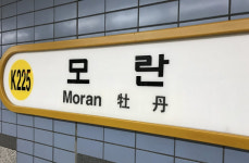 모란역에서 사람 2명 죽이겠다…살인예고한 20대 검거
