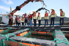 전남도의회, 고수온·태풍 등 자연재해 대비 사전 현장점검