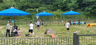 댕댕이 천국 창원 펫-빌리지놀이터 방문객 10만명 돌파