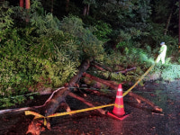 삼척 314mm 동해안 시간당 40mm 장대비…주택·도로 침수 속출