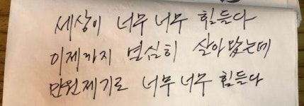 극단 선택 보성 한돈농가…꽃나무 등 조경까지 신경 썼다