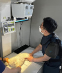 경남 동물병원 진료비 전국 평균 수준…진주시 초진비용 12배나 차이