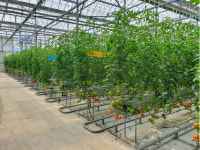 김해시, 스마트팜 활성화 적극 나섰다