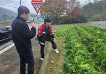 으깨진 사과…때아닌 가을 우박에 농가 쑥대밭