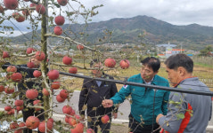이정표 충북농협 본부장, 제천·단양 우박피해 현장 점검