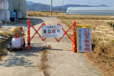 경남에서도 럼피스킨병 발병…창원 한우농가 첫 확진 판정